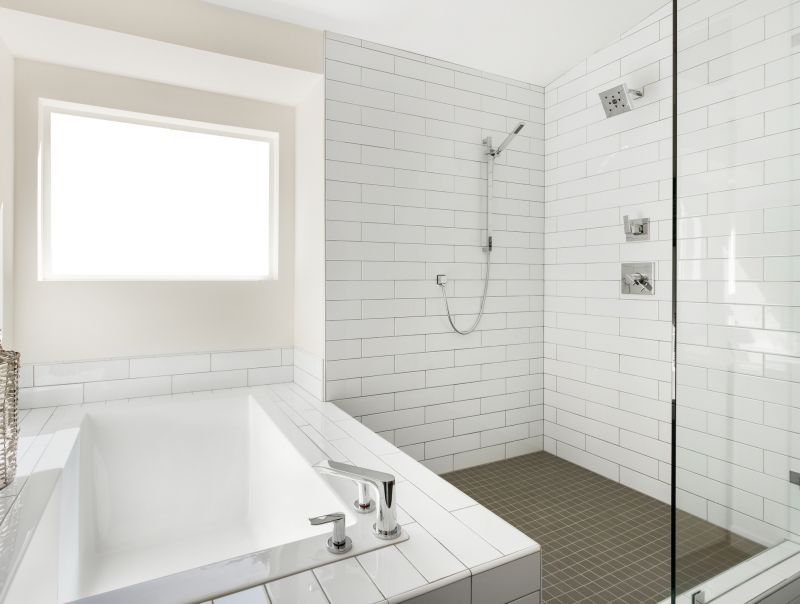 Top Tub To Shower Conversion Companies in Burlington, WA