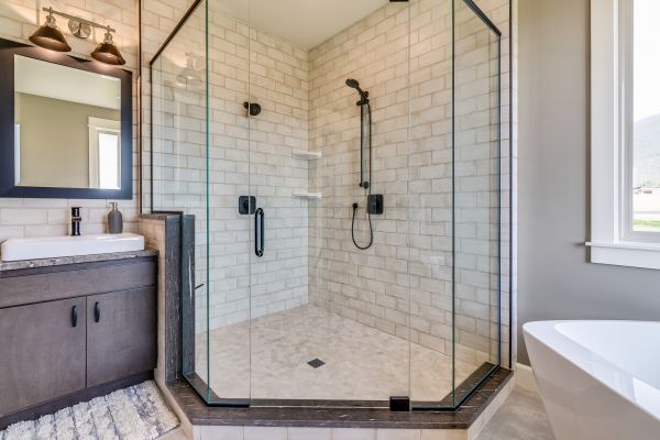 Bathroom Modification in Bellingham